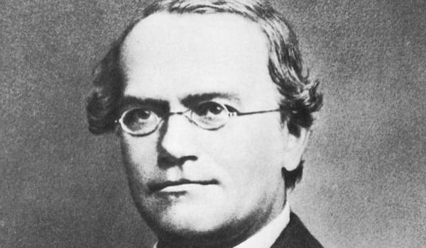 Ozvěny minulosti